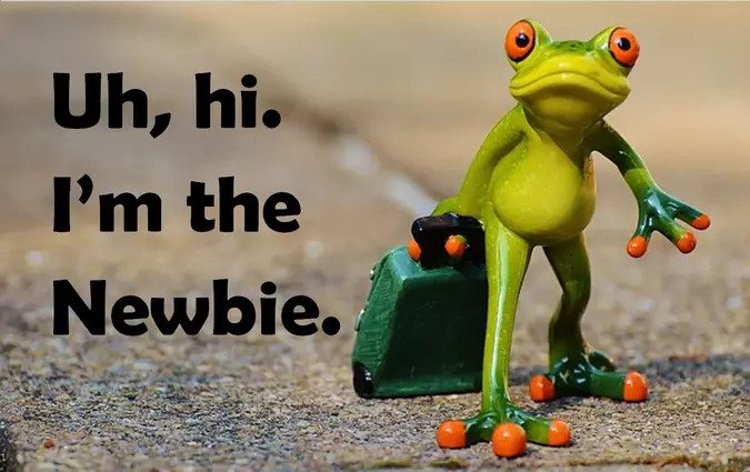 Newbie học Javascript, ReactJS, React Native