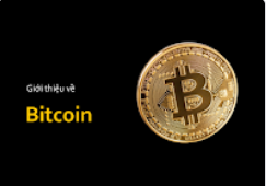 About Bitcoin